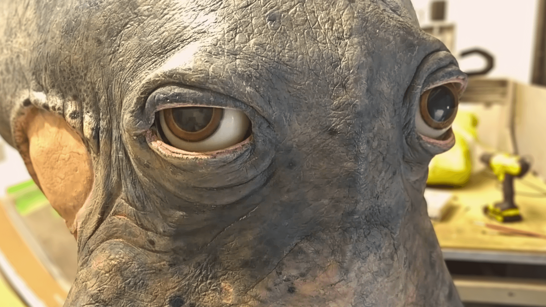 Thumbnail about the project S.Q.U.I.D.