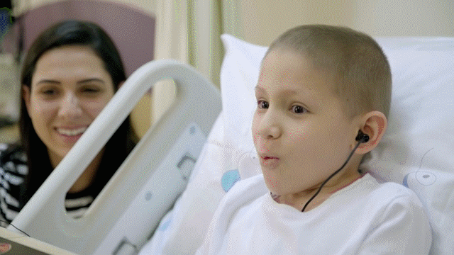 Pictures about the project