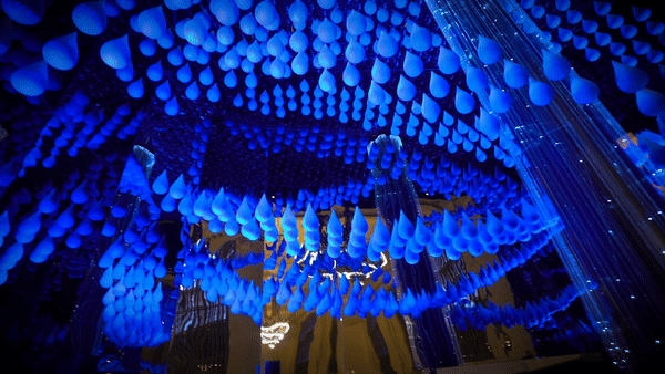 Pictures about the project